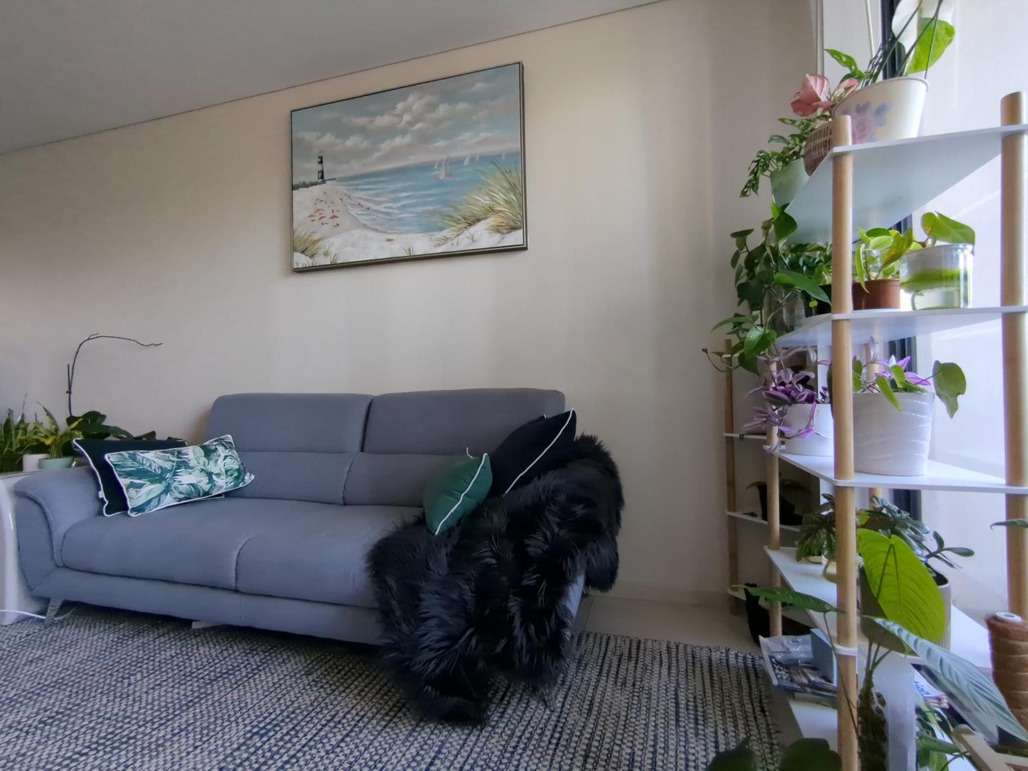 Homestay Shared Bright And Cozy In Parramatta Cbd - Close To Everything *