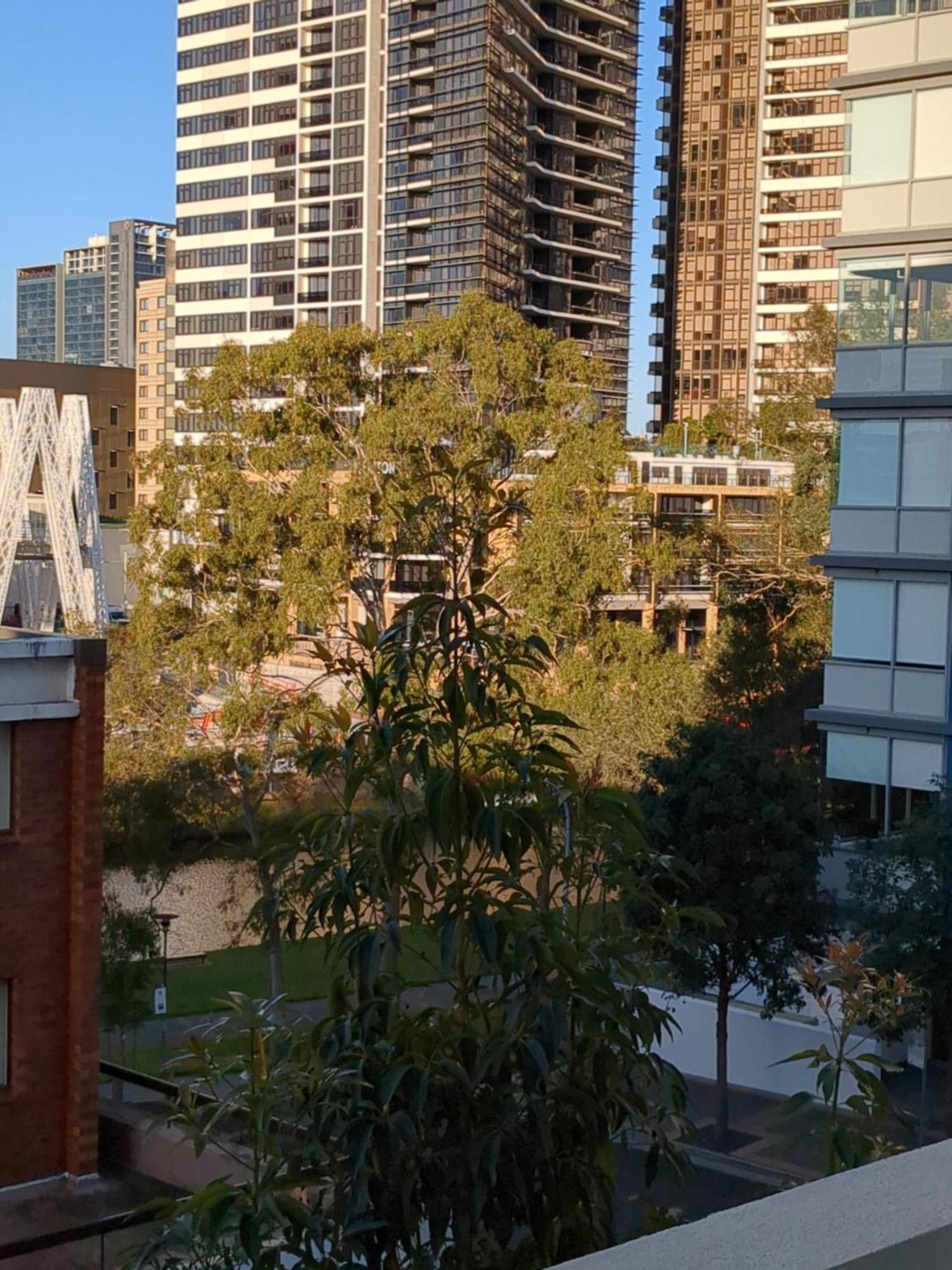 Homestay Shared Bright And Cozy In Parramatta Cbd - Close To Everything Sydney