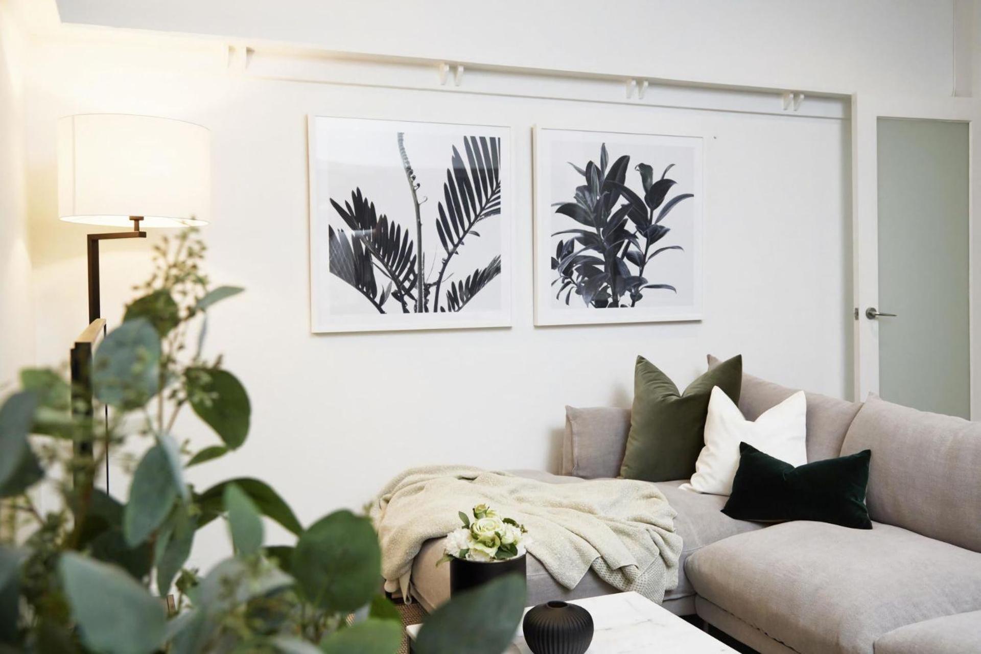 Apartment Woollahra Contemporary
