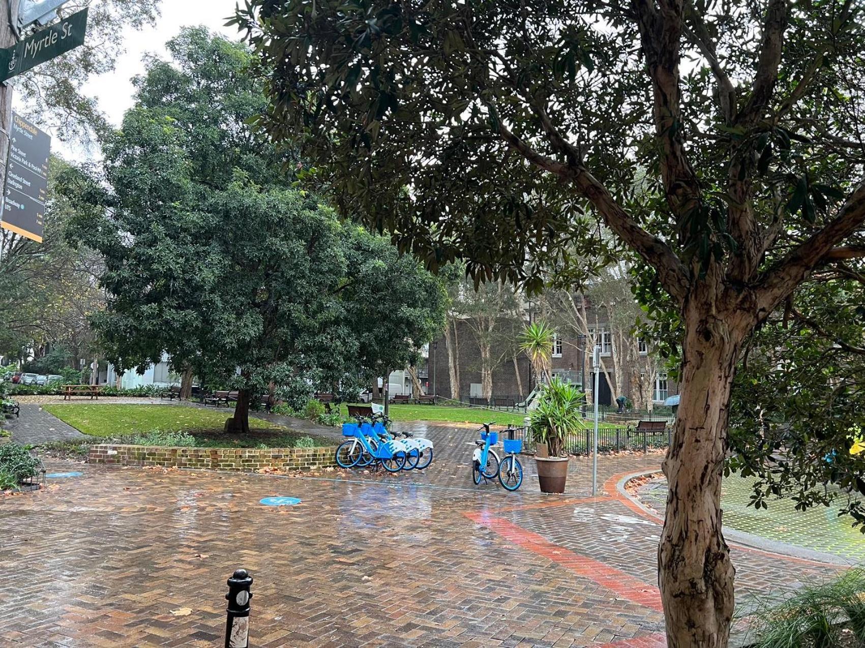 Chippendale 2B1B Budget Choice Best Location!