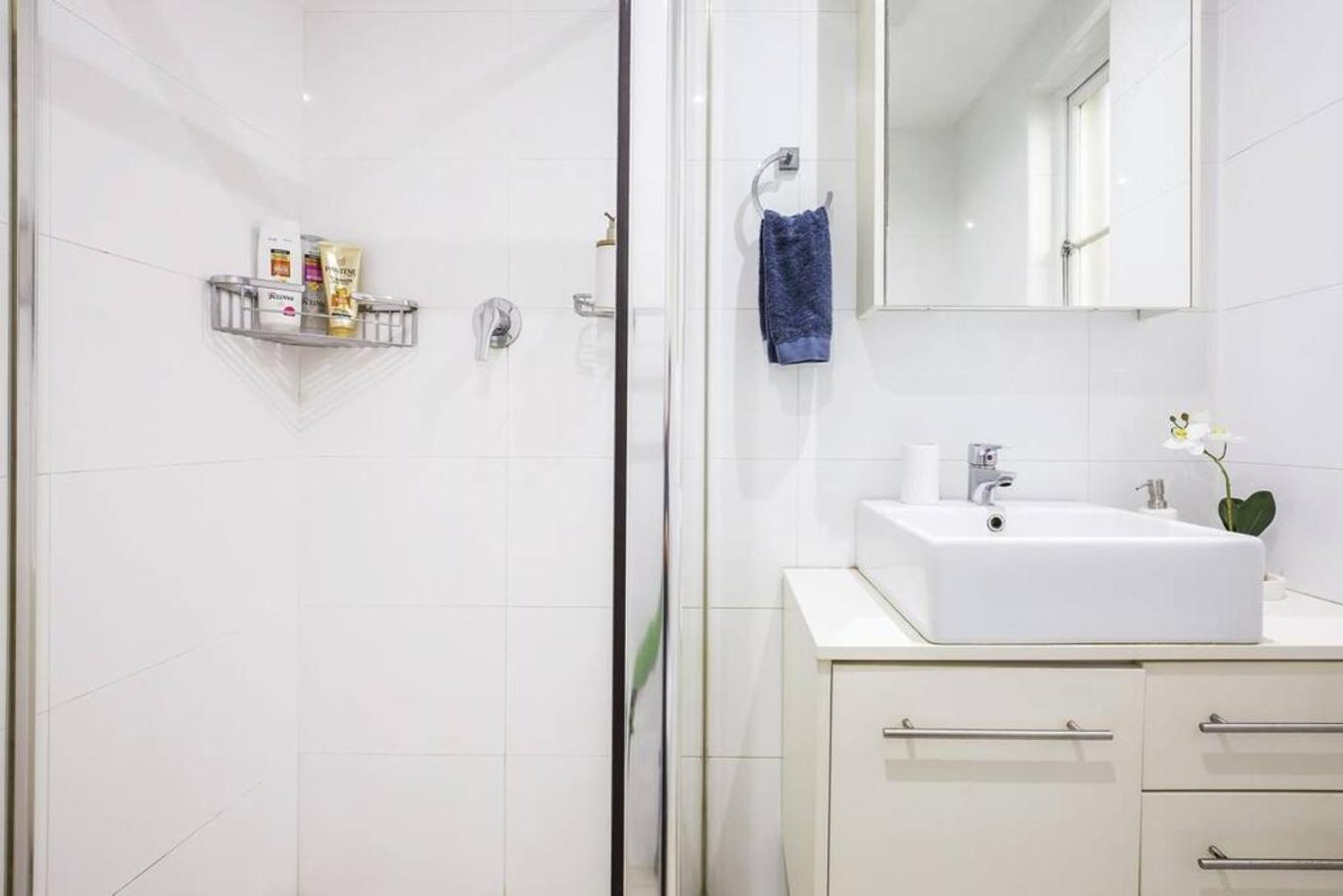Apartment Heatherbrae Ii - Stunning Harbour Bridge Views! Sydney