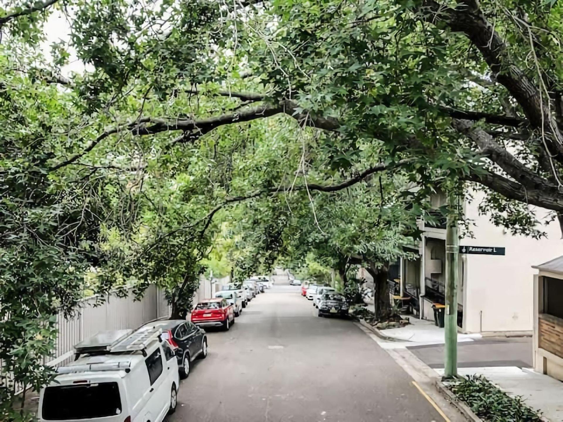 Multi Level Surry Hills With Terrace Sydney