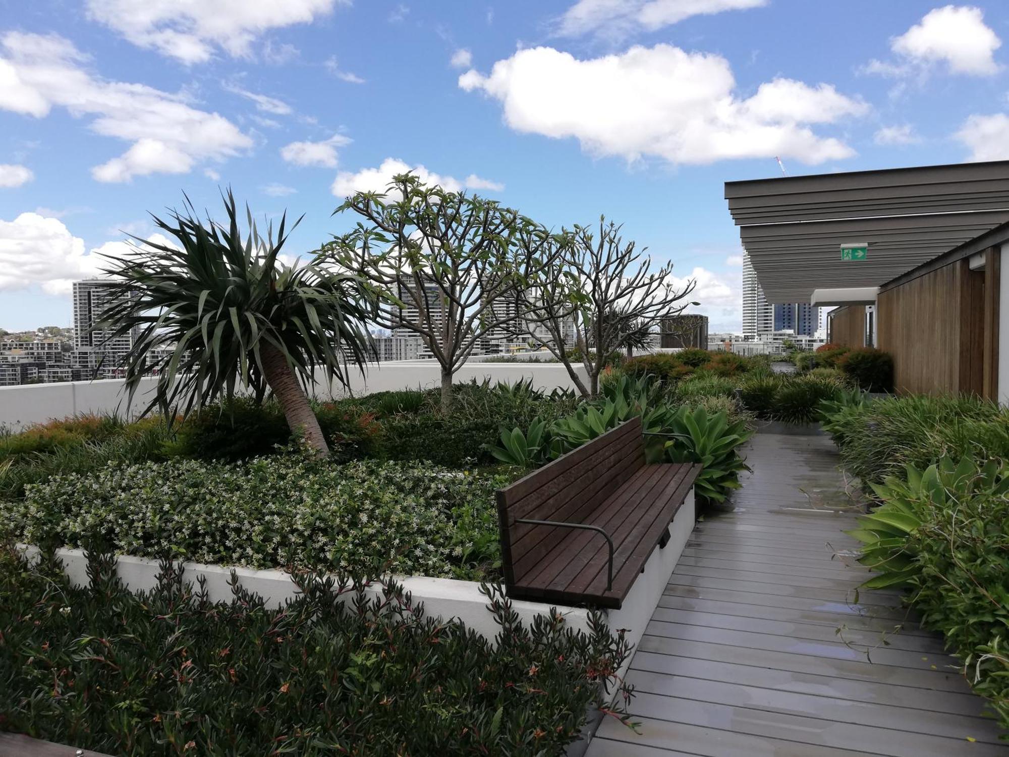 Bay View 2 Bed Highrise With Free Parking Apartment Sydney