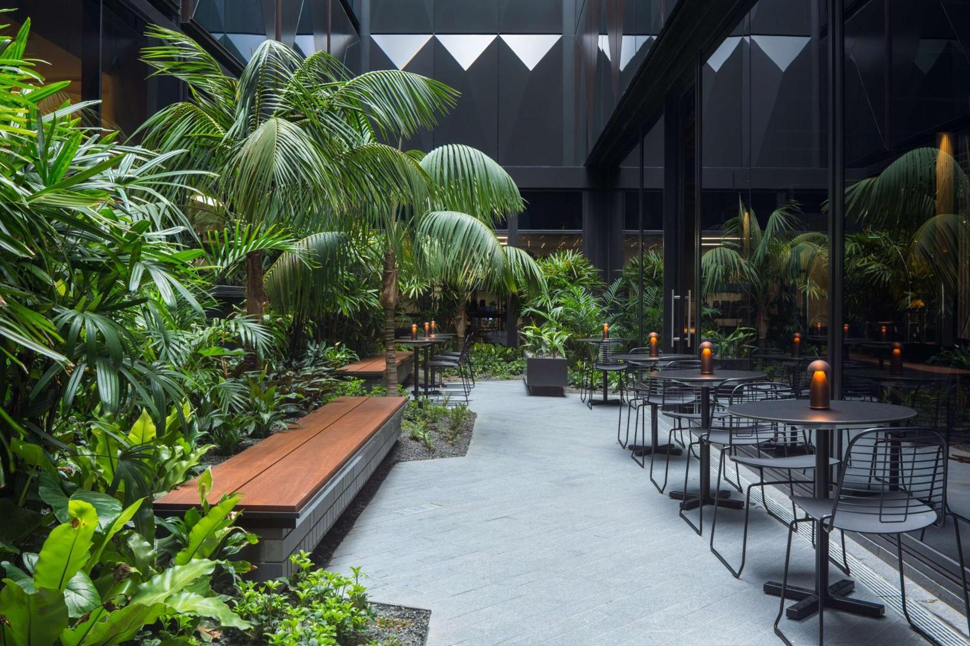 West Sydney, Curio Collection By Hilton