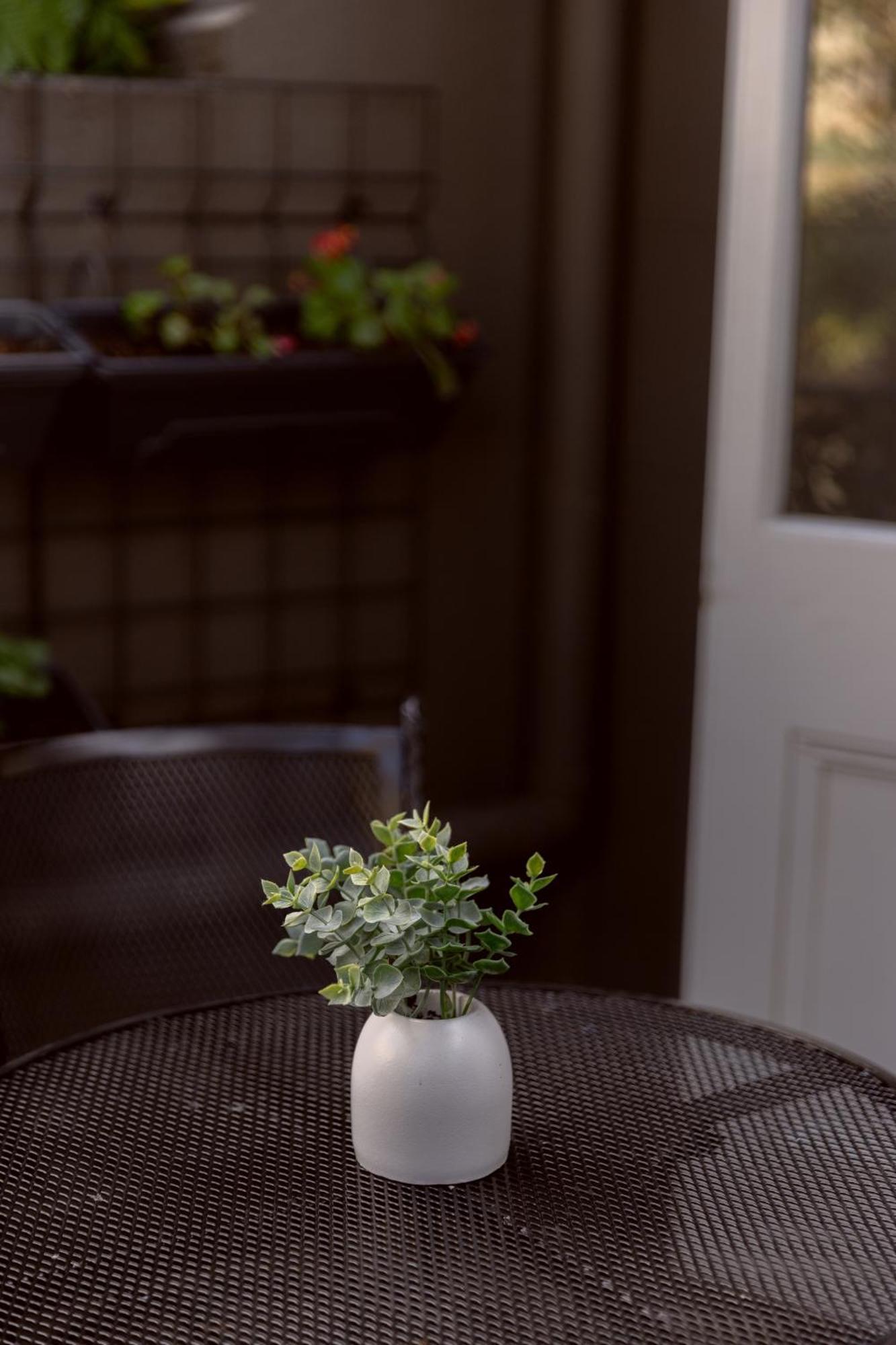 Bayswater Boutique - Potts Point Hotel Sydney