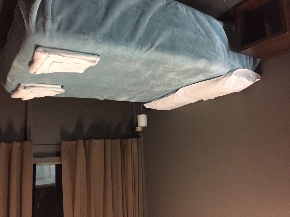 Motel Palms