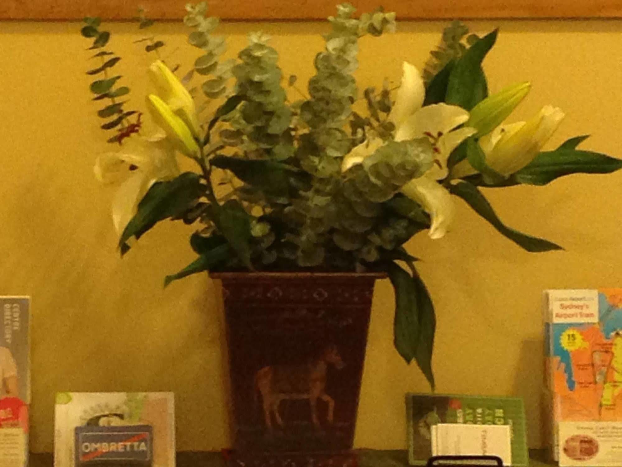 Verona Bed & Breakfast