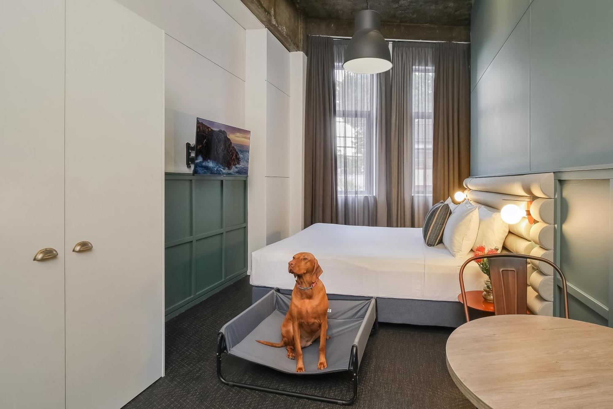 The Urban Newtown 4*