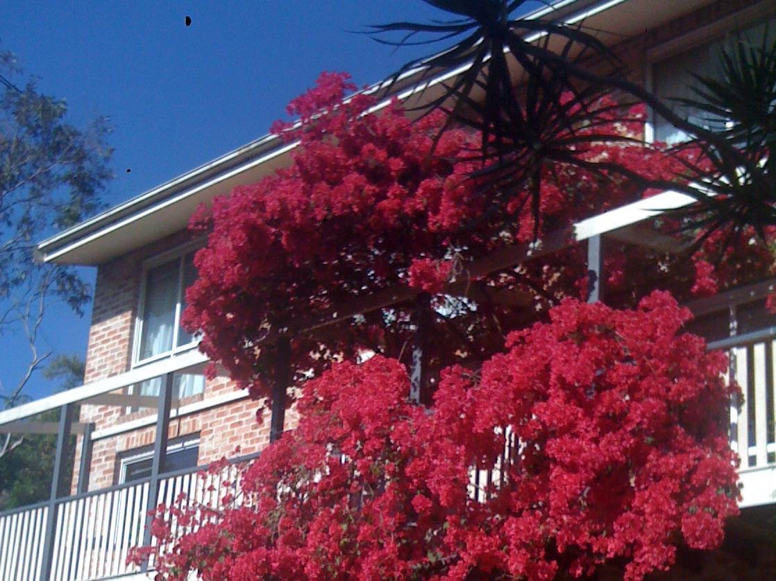 Bed & Breakfast Linley House Sydney