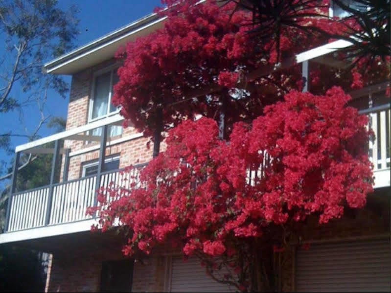 Bed & Breakfast Linley House 3*