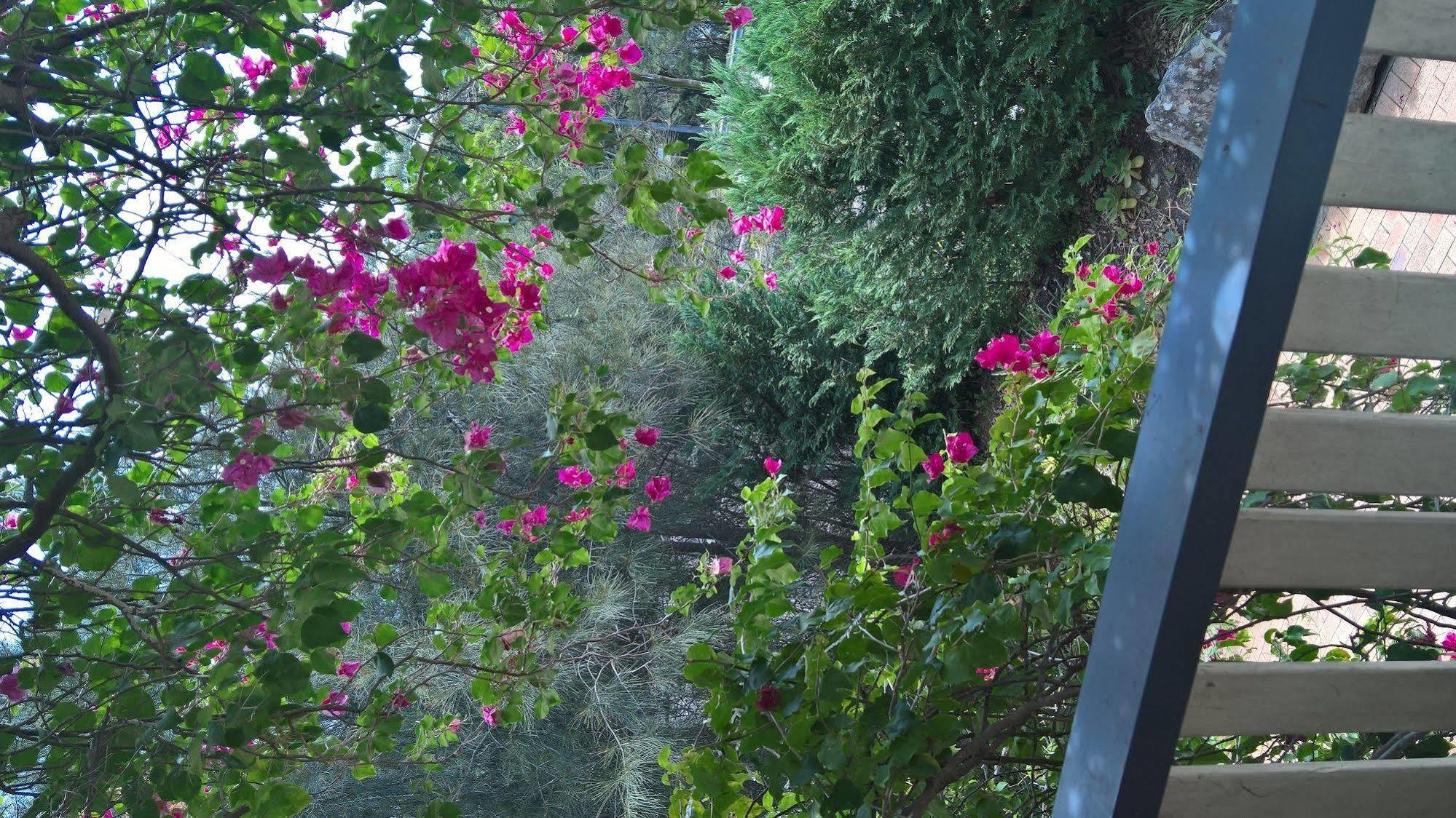 Linley House Bed & Breakfast