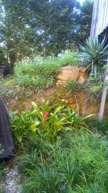 Linley House Bed & Breakfast Sydney